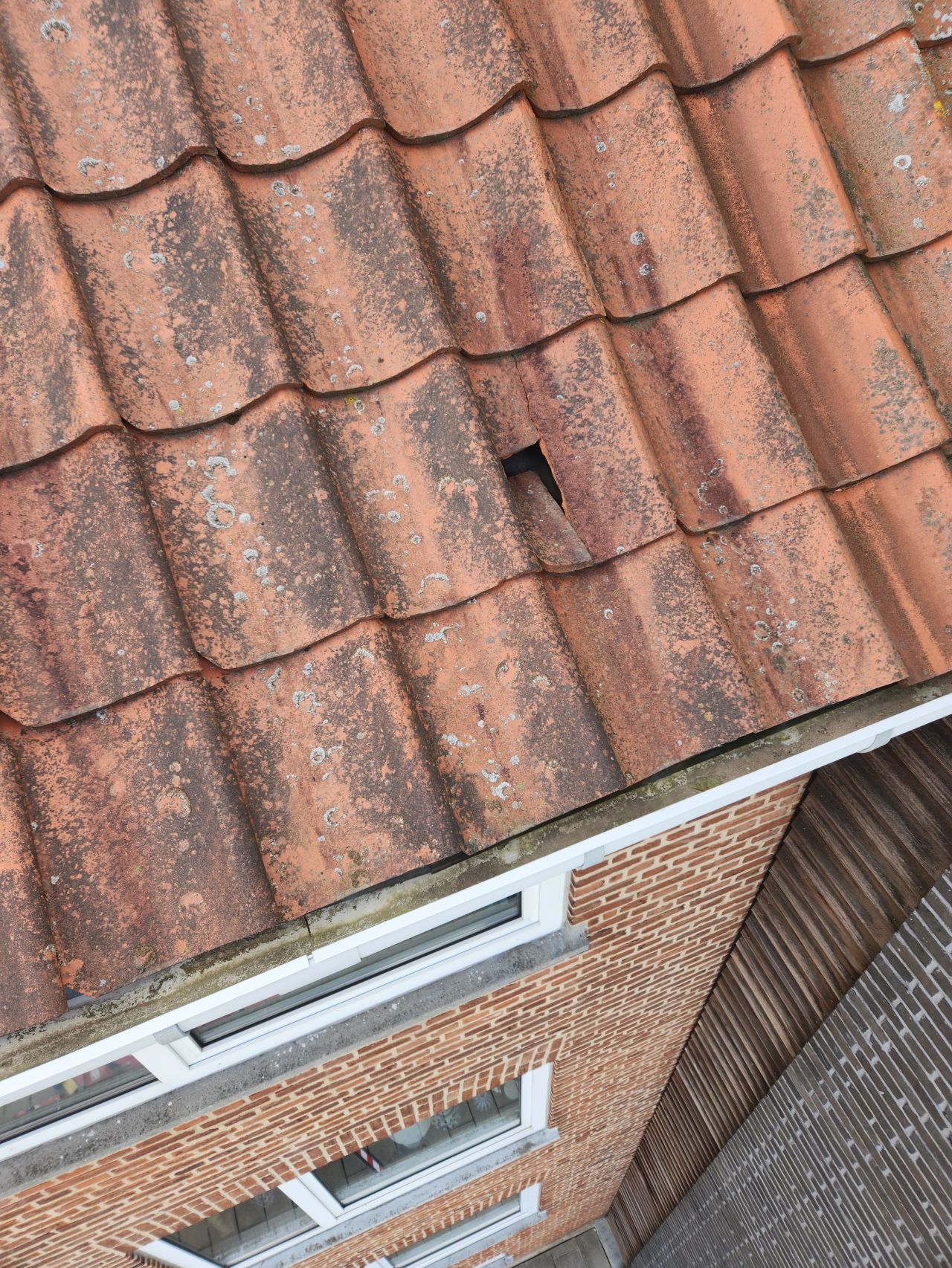 Hinowa lift i aktion ved specialopgave i Aarhus Nord - billede 4